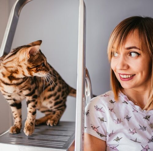 Wie Lange Dauert Es Bis Eine Katze Verwest Ist?