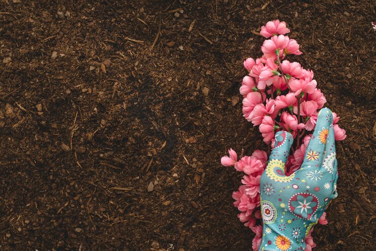 Wie Bekomme Ich Kleine Fliegen Aus Der Blumenerde?