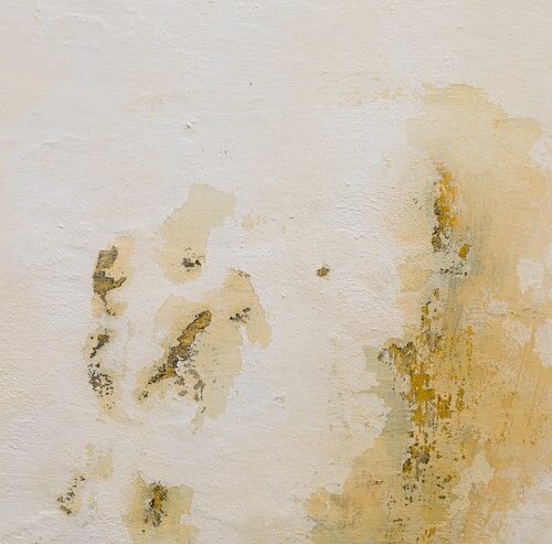 Wie Entsteht Schimmel An Der Wand?