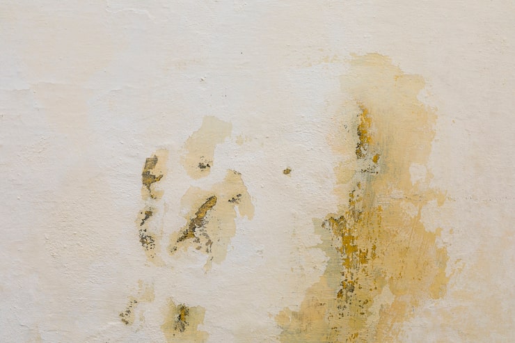 Wie Entsteht Schimmel An Der Wand?