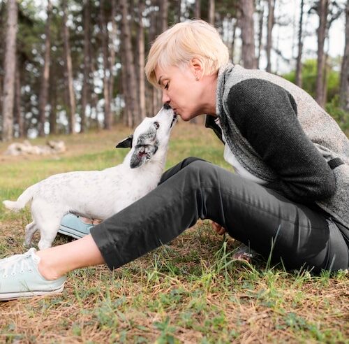 Was Hilft Bei Hunden Gegen Flöhe?