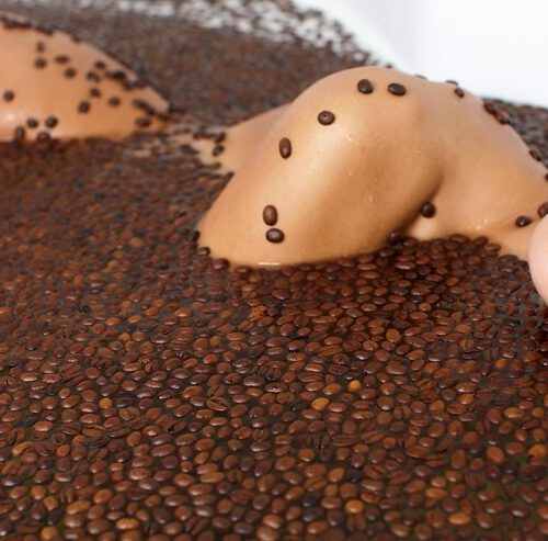 Woher kommt der Kakao?