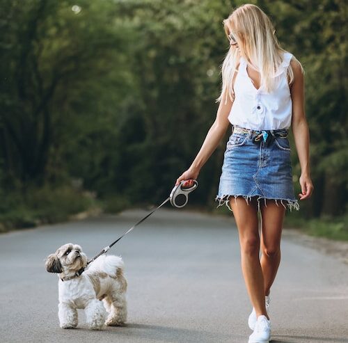 Wie Lange Gassi Gehen Mit Welpen?