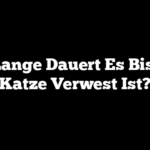 Wie Lange Dauert Es Bis Eine Katze Verwest Ist?