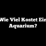 Wie Viel Kostet Ein Aquarium?