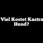 Wie Viel Kostet Kastration Hund?