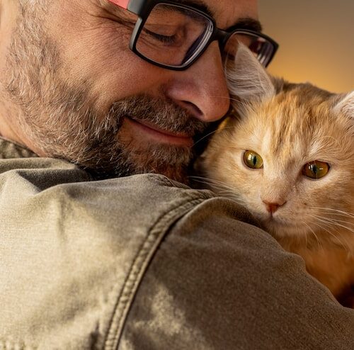 Wie Viel Menschenjahre Ist Ein Katzenjahr?