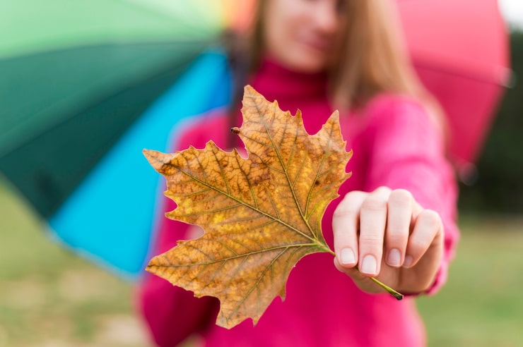 Warum Werden Blätter Im Herbst Bunt?