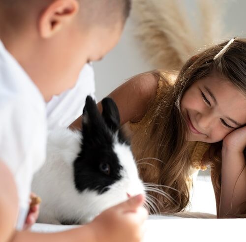 Was Für Ein Tier Ist Das?