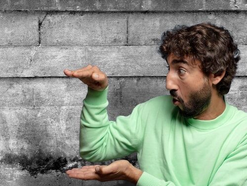 Wie Bekommt Man Milben Weg?