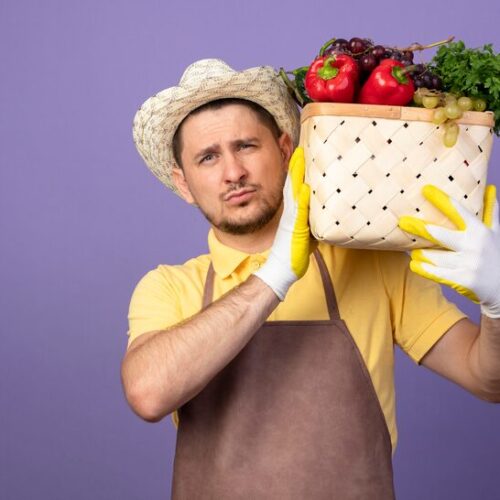 Welches Gemüse kann man im Winter anbauen?