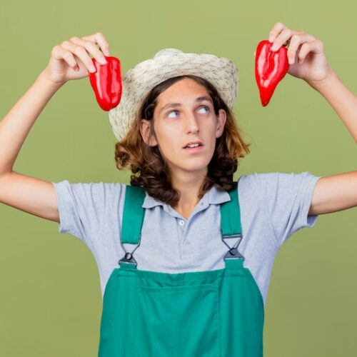 Woher kommt die Paprika?