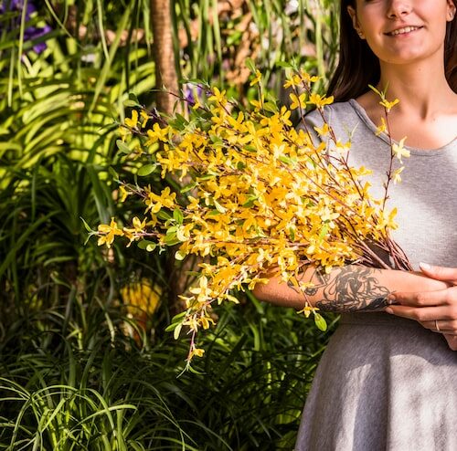 Warum Bekommt Mein Oleander Gelbe Blätter?