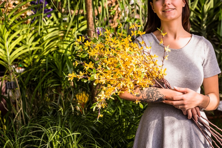 Warum Bekommt Mein Oleander Gelbe Blätter?