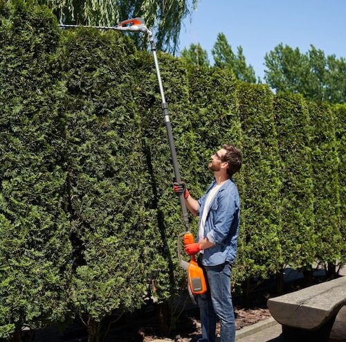 Wann Darf Man Eine Hecke Schneiden?