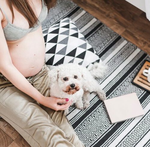 Wie Lange Dauert Eine Hundeschwangerschaft?