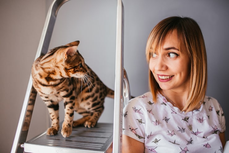 Wie groß ist das Revier einer Katze?